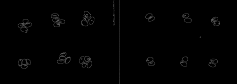 Canny Edge Detection